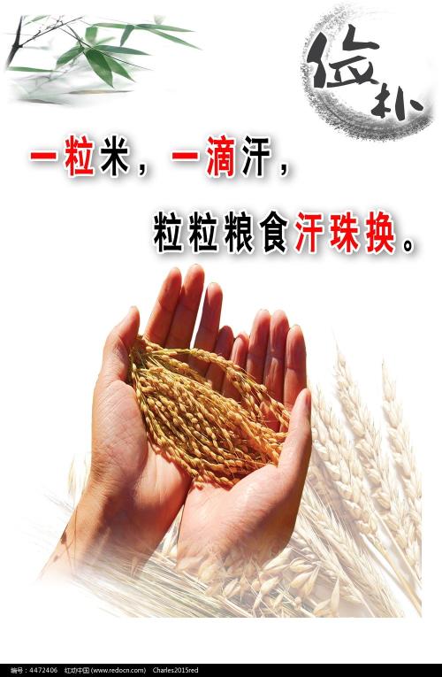 做个日本白鷗大學毕业证